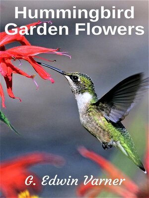 cover image of Hummingbird Garden Flowers